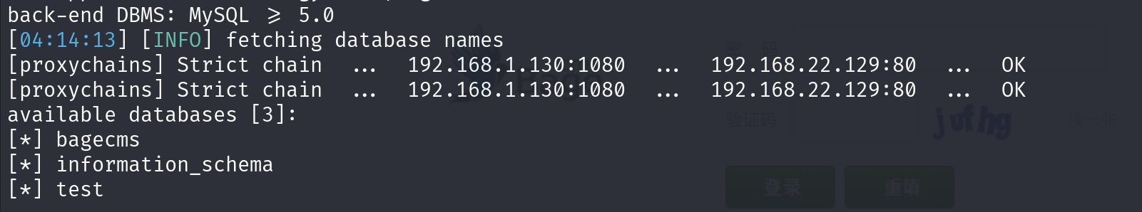 image-20240917161429606